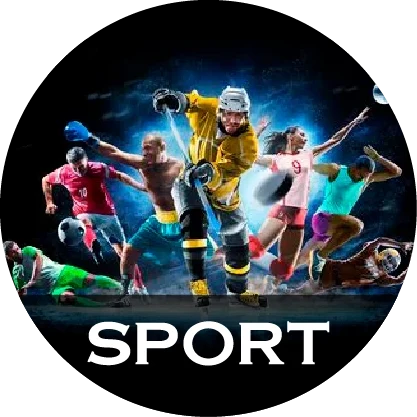 Tablouri pe metal Sport