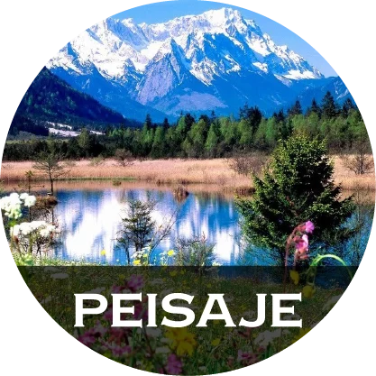Tablouri pe metal Peisaje