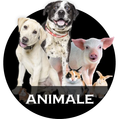 Tablouri pe metal Animale
