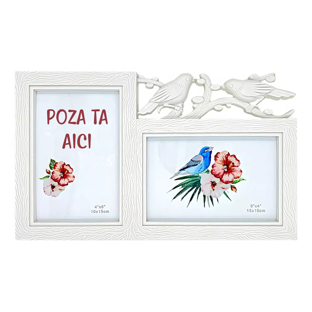 Poza 1 din 2