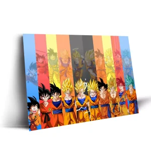 Tablou dragon ball z evolution